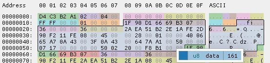 图 3.2.1:Pcpa 文件中第一个数据包的头部信息