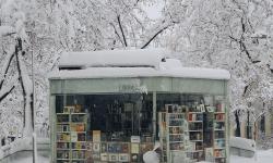 Featured image of post 诗几首