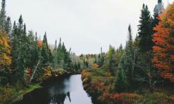 Featured image of post 文学的意义